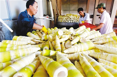 ����ũ��Ʒ�ӹ��������þ�����־�