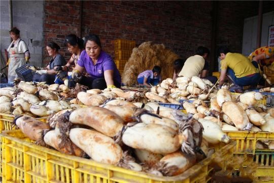 ������������ź�ɴ�ʱ��� ���ζ���