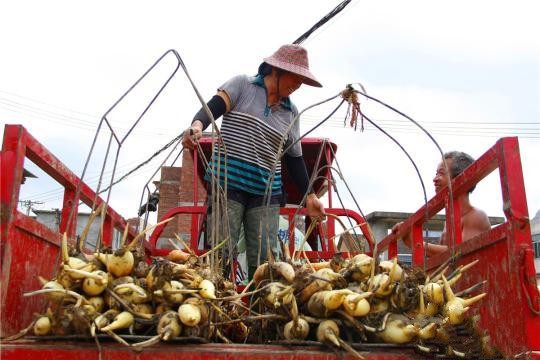 ͼΪźũ����ź�����չ��㡣