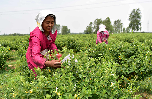 �ӱ���¹��������������������