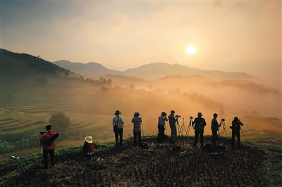 ����ũҵ�Ļ����ţ���̬����ũ������