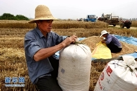 ����С��½������ ����������Ļ