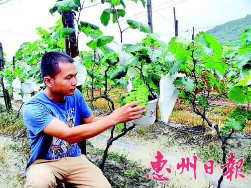 �㶫����������Ҳ��������