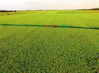 ������������ũ�������