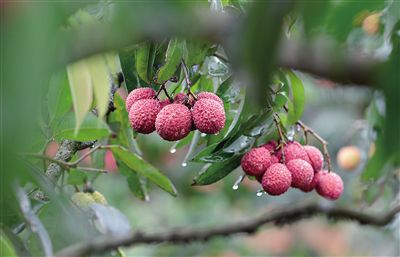 ͷ޺֦ѳΪʡũƷƷơ