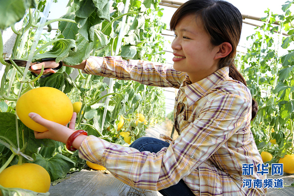 ���ϻ��أ�������ִ� ϲ��д����