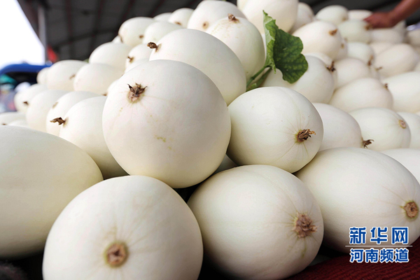 ���ϻ��أ�������ִ� ϲ��д����3