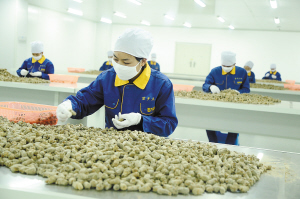 ��ɽ��������������