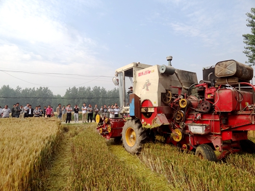 ���ո����������ٰ̾�ո�ȫ��������������������ֳ���