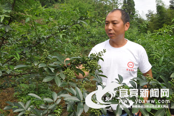 ǿũƷۺϿ޹˾Աǿܻ