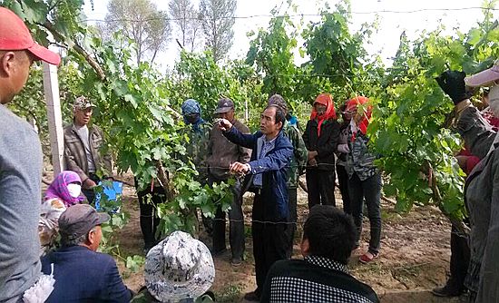 ¸ÊËà¶Ø»ÍÊйù¼Ò±¤Ï翪չÆÏÌÑÏļ¾¹ÜÀíÅàѵ