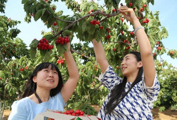 ӣ��Ʈ�� �̻�ӱ��ǽ�ũ�Ҳ�ժ����