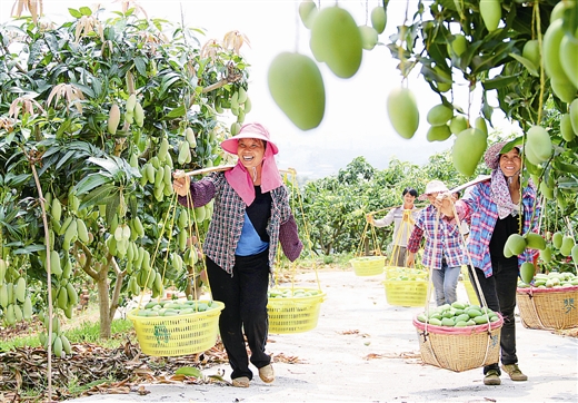 ������ɫ������һ�ȣ�������Ʒ�ʡ�