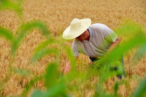 ɽ��5699��ĶС���������