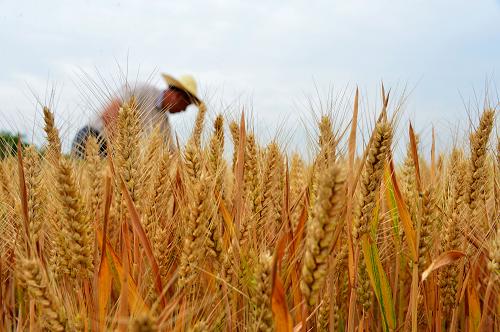 ��ɽ��ʡ������������С�������ã�6��4���㣩��