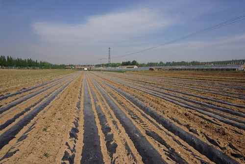 ɹųУԪɽչˮЧũҵ