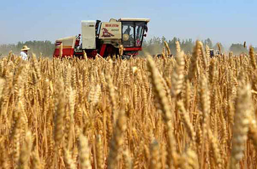 ɽ��С��������