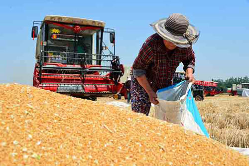 6��5�գ�����������ɳ����ũ���ջ������װ����