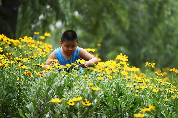 67գһСɽʡƽͷƺӰͷҰ