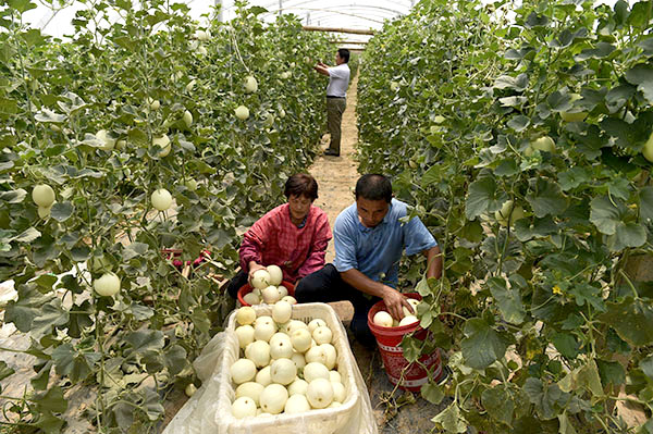 67գɽʡƽͷǰũϻڰοͲժ