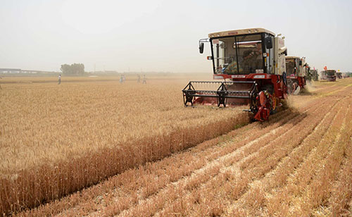 �ӱ�3450��ĶС�����ջ�