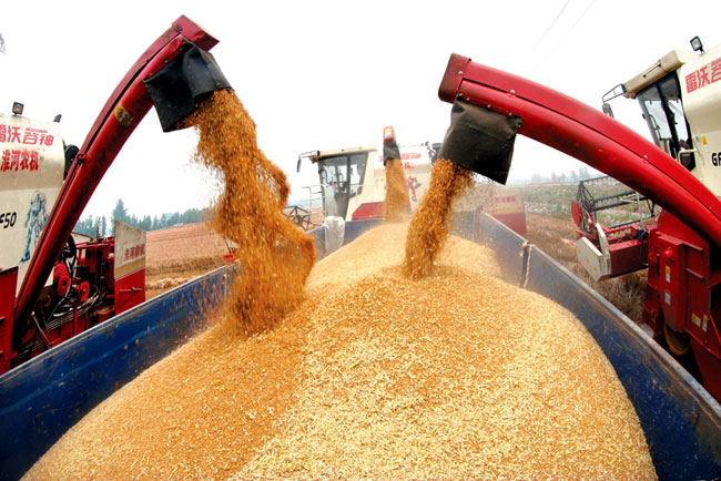 �������ݣ�������ҵæ����