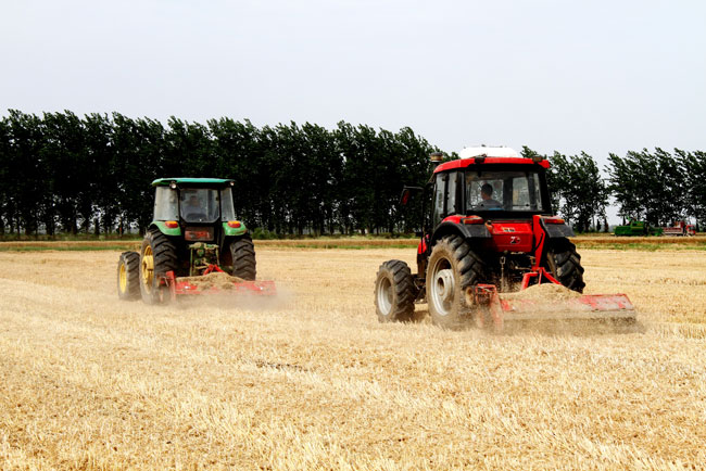 ����ʡũ������ũ��3��ĶС��ʵ��ȫ���ոѻ���