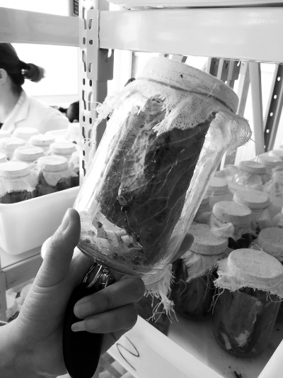 ��������ũ������������桱�ɲ�ҵ