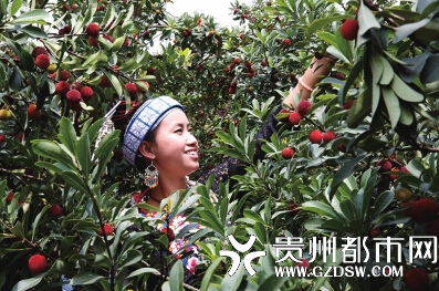 ���ݹ��������ڰ�����÷���� ������500�򹫽�