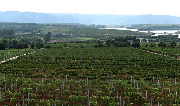 �������մ�����չ���Ѳ�ҵ��ũ�¸�