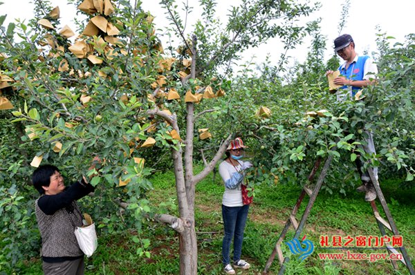 ������������ˮ�ذ�ƻ��ӭ������׹���