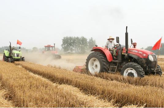 �����Ϫ���幵�򣺶�벢��ץ����