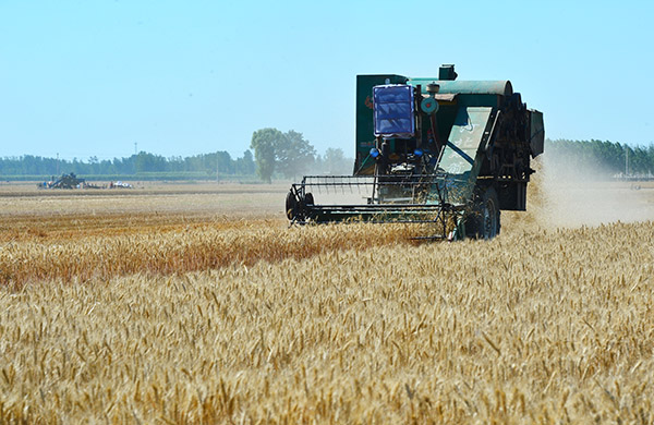 �ӱ�С���������