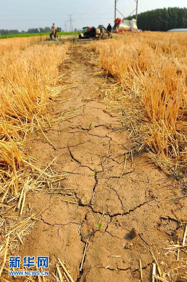 612գɽΫл¥ֵŴɺũֹѡ