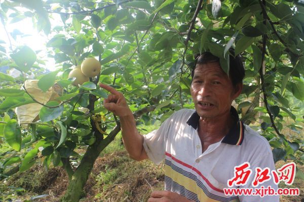 ţ�̶������ݡ����߹��� ̨��߽ӷ���桰�ޡ����㶫�����ж���