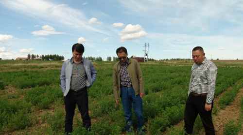 ���ɹź��ױ����У��������и߲������ӻ���ޣԭ�ֻ�������̬������