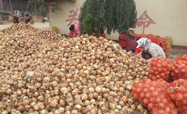 ɽ��ƽ���й������ĶԲ�з��� ũ����������5200��