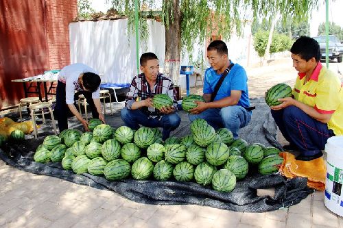 ����������ƽ���򡰳¾�����������2