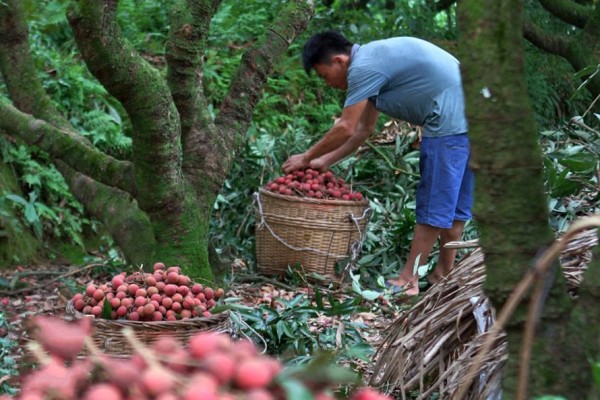 614գִһũժĺҶ֦װ