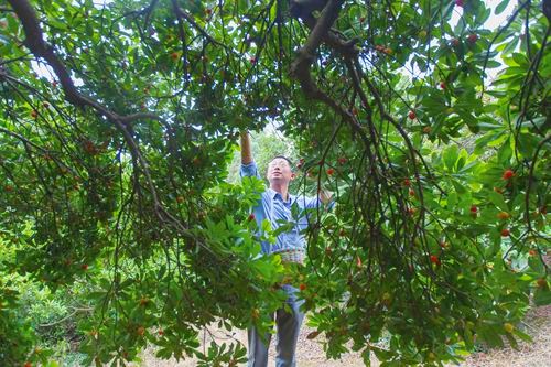 㽭ˣ÷ɡҡǮ ԤƲֵ1.5Ԫ