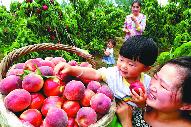 ���ո��������桰��ҡ���ӳ��