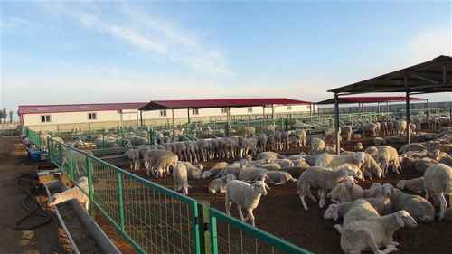 ��׼��������ֳ԰��