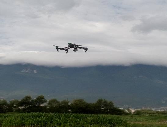 ���Ϲ㲥����̨�������������ԭ��ɫ��̬ũҵ