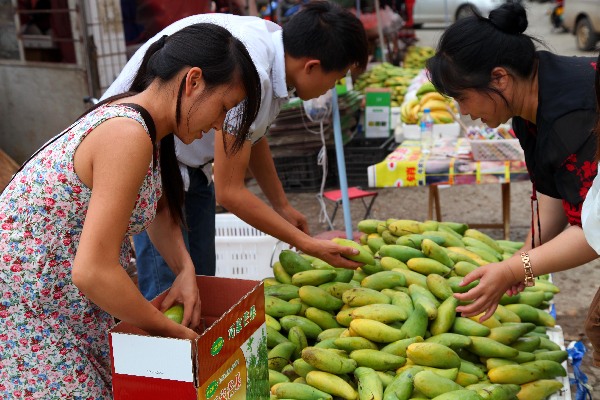 �����ɼ�â����������