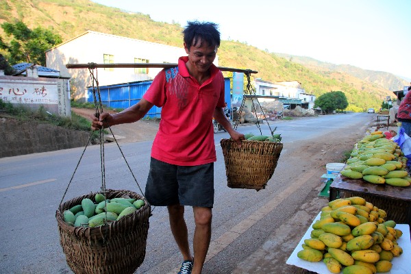 6��22�գ��׺�̲��������Ĵ����ժâ��������