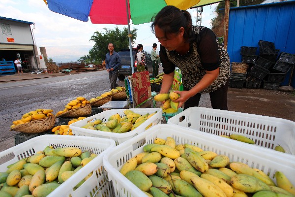 6��23�գ��׺�̲�������Ĵ�����·����â����