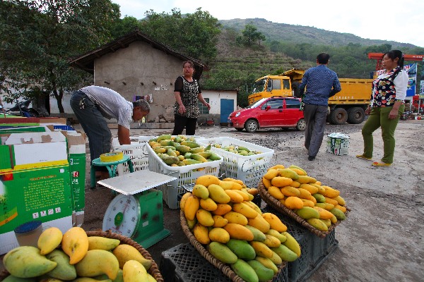 6��23�գ��׺�̲�������Ĵ�����·����â����