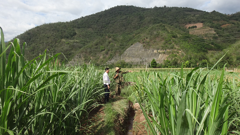 ������ƽ��Įɳ���ǿָ��ˮ��������������2