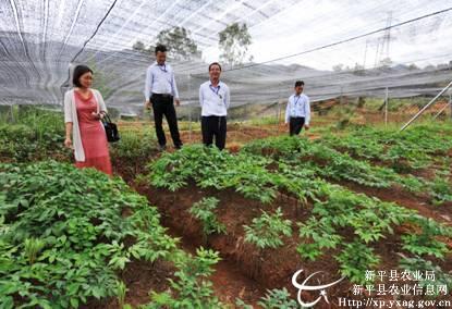 ������ƽ��ħ����ϲ��