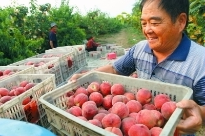 �������ݡ���ѩ������